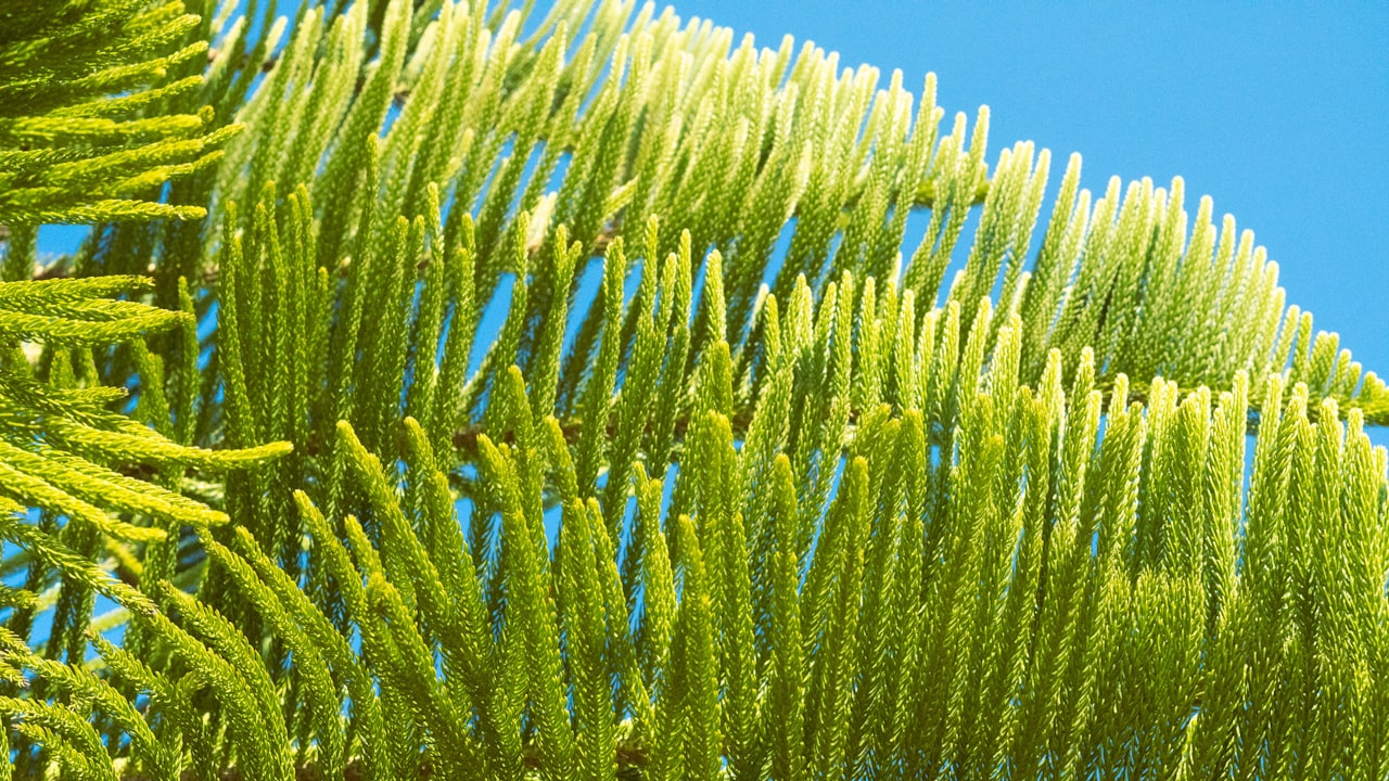 How To Choose The Best Ice Chest Qualities